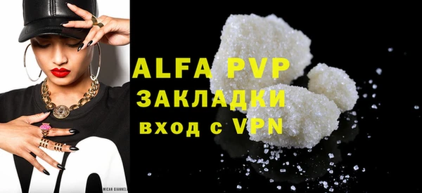стаф Алексин