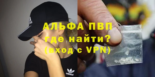 стаф Алексин