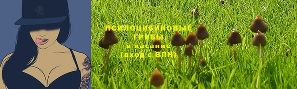 стаф Алексин