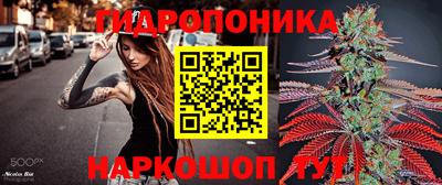 Альфа ПВП Сосновоборск