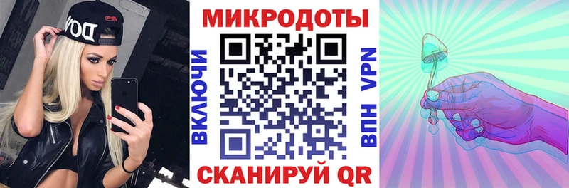наркота Алексин Псилоцибиновые грибы Psilocybe