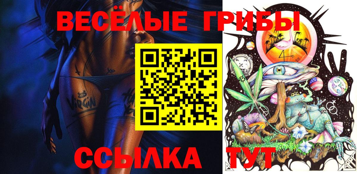 Псилоцибиновые грибы Алексин